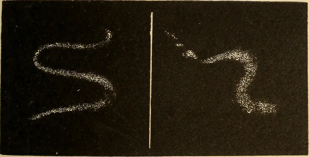 An illustration from Astronomy for the use of schools and academies, 1882, leaf 332