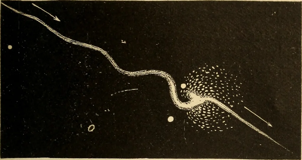 An illustration from Astronomy for the use of schools and academies, 1882, leaf 334