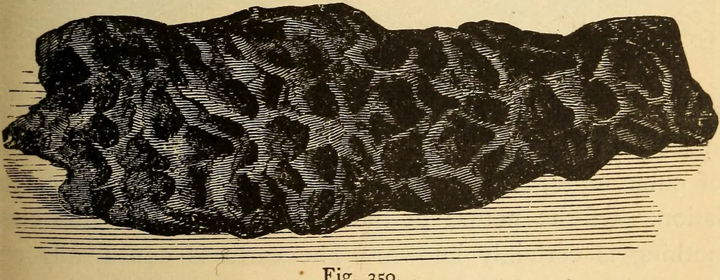 An illustration from Astronomy for the use of schools and academies, 1882, leaf 334