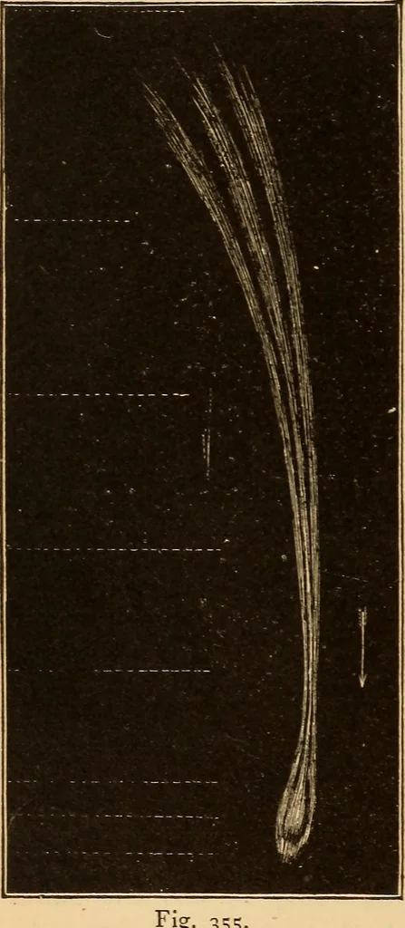 An illustration from Astronomy for the use of schools and academies, 1882, leaf 341