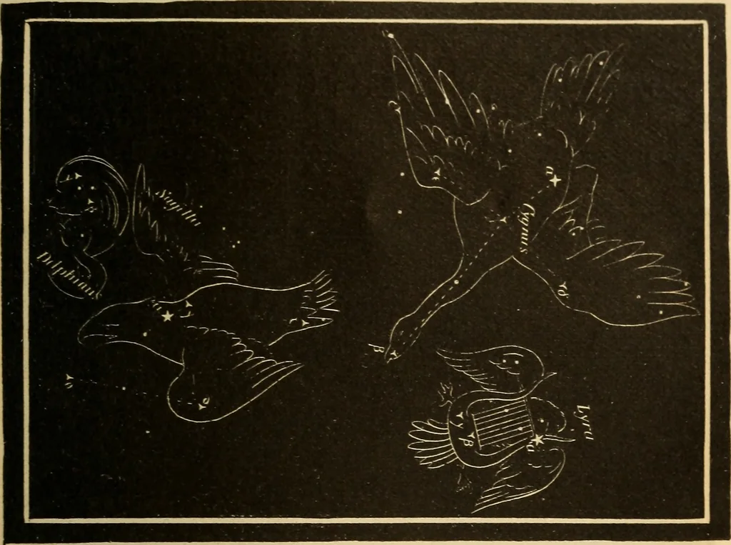 An illustration from Astronomy for the use of schools and academies, 1882, leaf 366