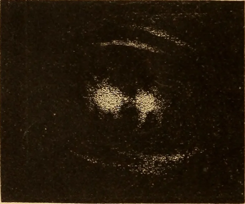 An illustration from Astronomy for the use of schools and academies, 1882, leaf 403