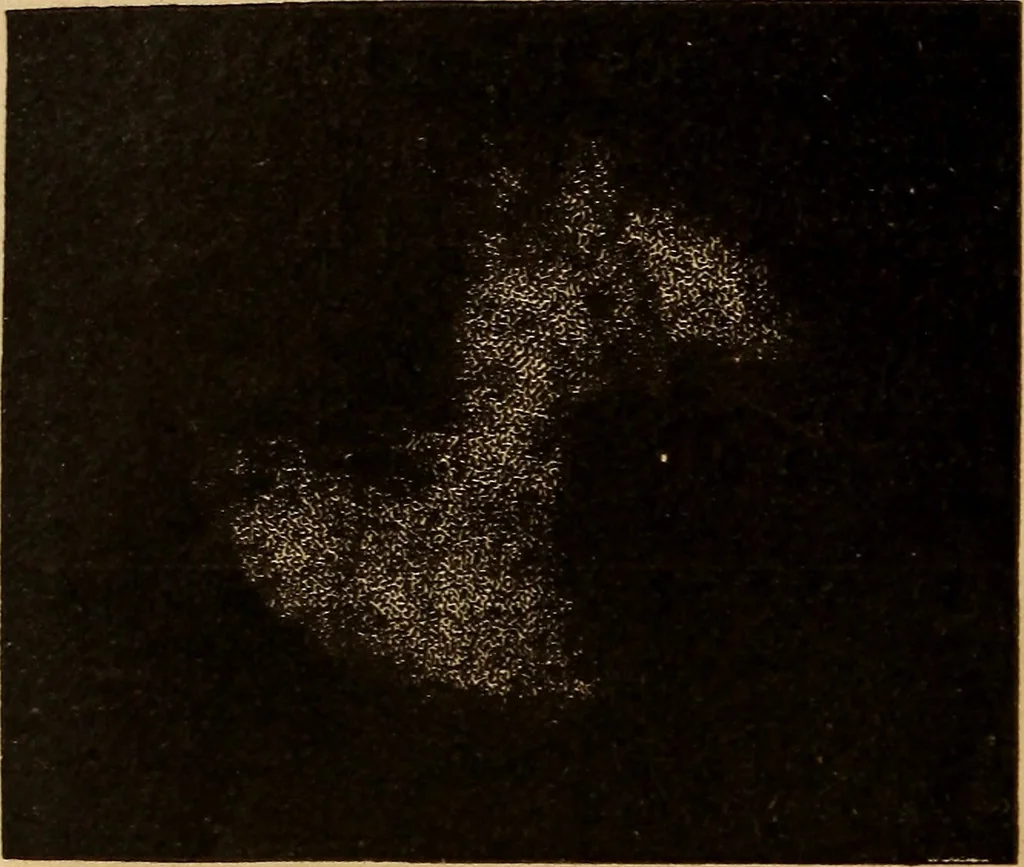 An illustration from Astronomy for the use of schools and academies, 1882, leaf 409