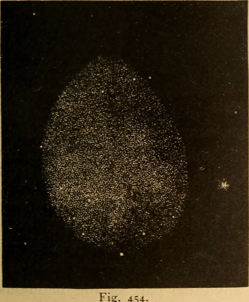 An illustration from Astronomy for the use of schools and academies, 1882, leaf 416