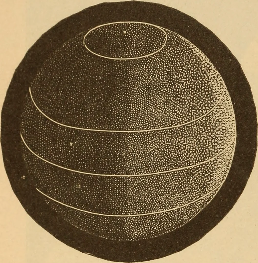 An illustration from Astronomy for the use of schools and academies, 1882, leaf 75