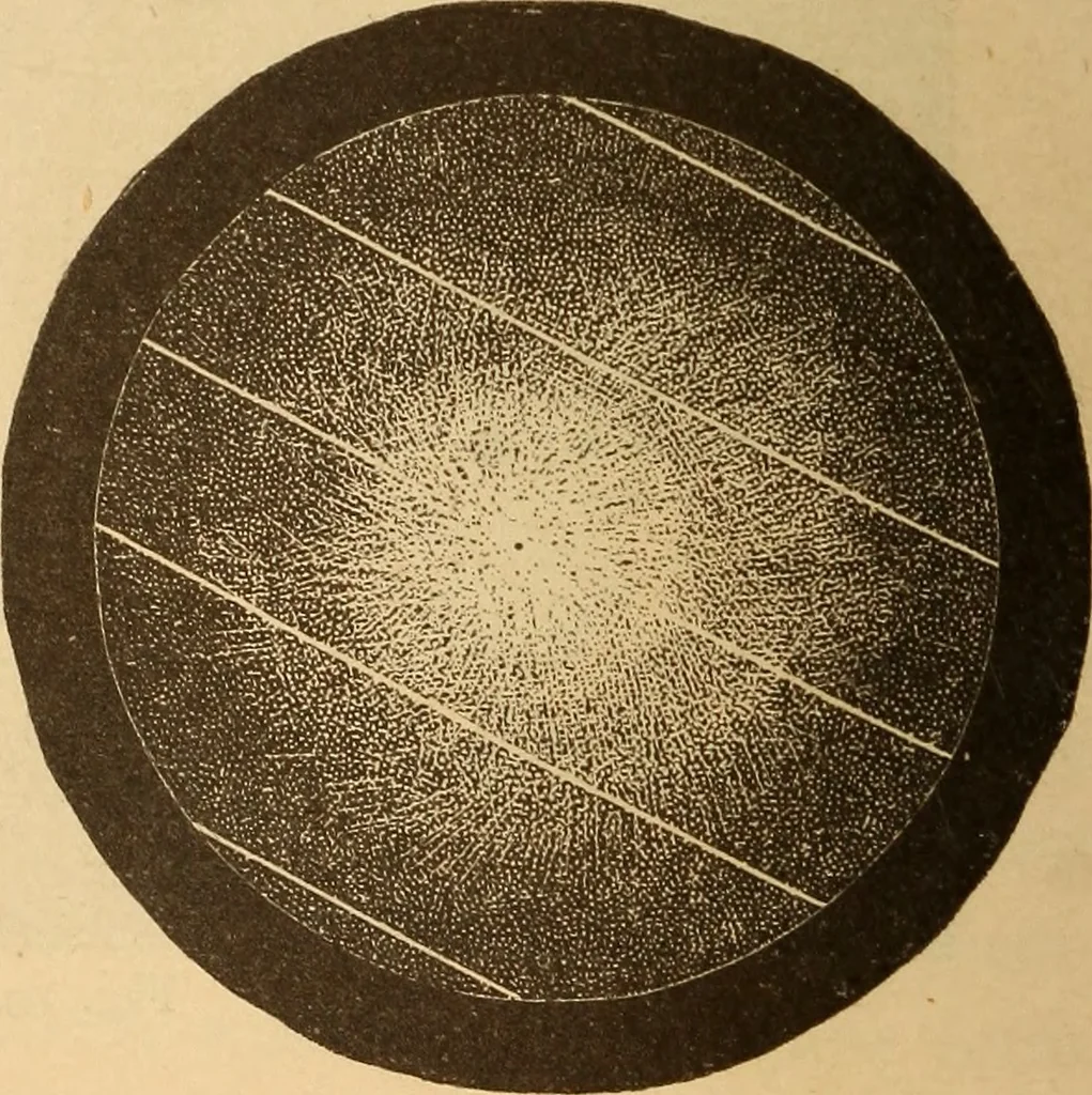 An illustration from Astronomy for the use of schools and academies, 1882, leaf 75