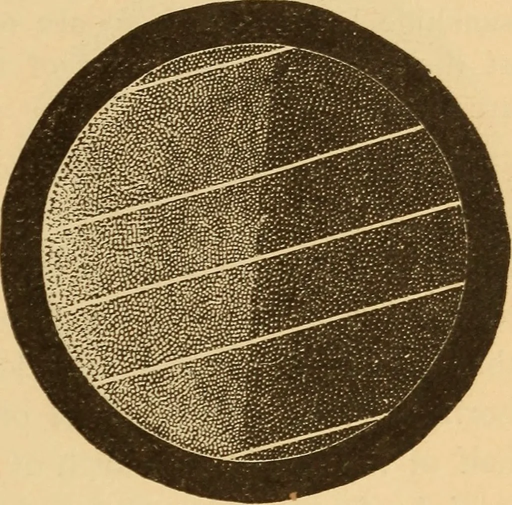 An illustration from Astronomy for the use of schools and academies, 1882, leaf 76