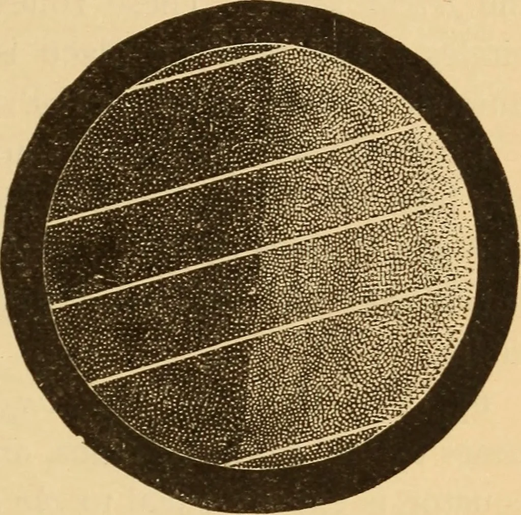An illustration from Astronomy for the use of schools and academies, 1882, leaf 78