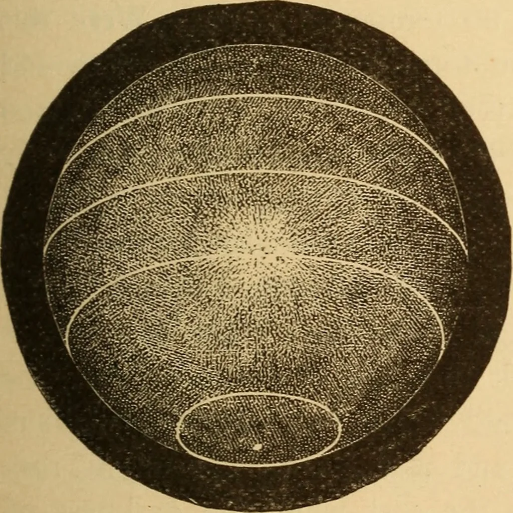 An illustration from Astronomy for the use of schools and academies, 1882, leaf 78