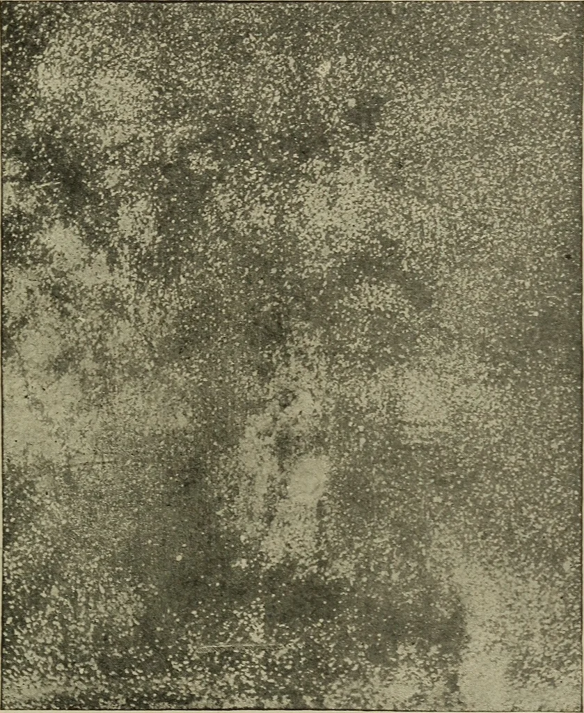 An illustration from Astronomy, a handy manual for students and others, 1918, leaf 252
