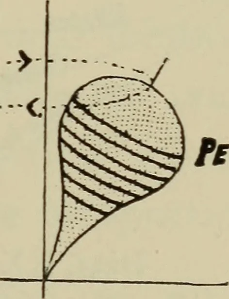 An illustration from Astronomy, a handy manual for students and others, 1918, leaf 62