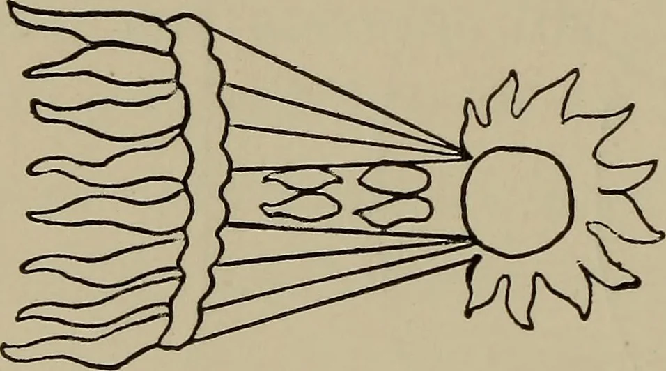 An illustration from Astronomy, a handy manual for students and others, 1918, leaf 69
