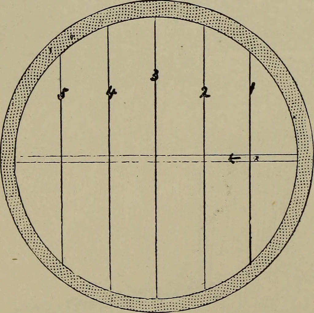 An illustration from Astronomy, a handy manual for students and others, 1918, leaf 87