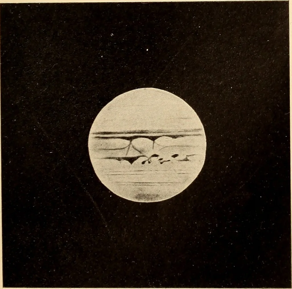 An illustration from Astronomy in a nutshell, the chief facts and principles explained in popular language for the general reader and for schools, 1912, leaf 52