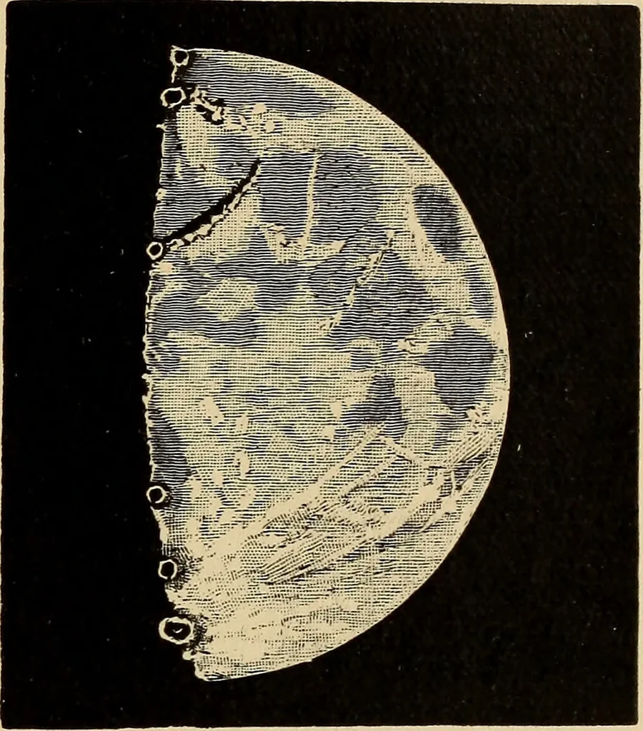 An illustration from Astronomy with an opera-glass:, 1896, leaf 144