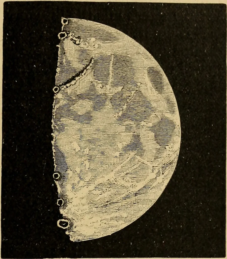 An illustration from Astronomy with an opera-glass: a popular introduction to the study of the starry heavens with the simplest of optical instruments, with maps and directions to facilitate the recognition of the constellations and the principal stars visible to the naked eye;, 1888, leaf 144
