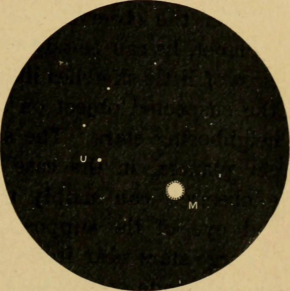 An illustration from Astronomy with an opera-glass: a popular introduction to the study of the starry heavens with the simplest of optical instruments, with maps and directions to facilitate the recognition of the constellations and the principal stars visible to the naked eye;, 1888, leaf 154