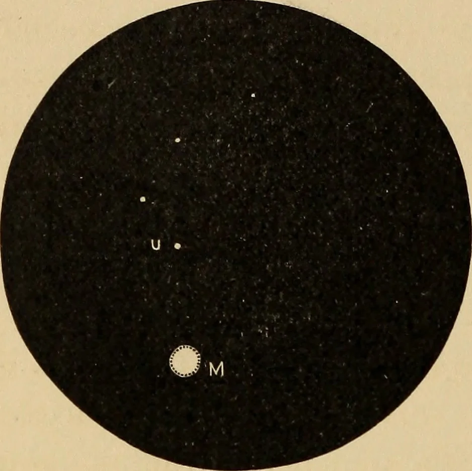 An illustration from Astronomy with an opera-glass: a popular introduction to the study of the starry heavens with the simplest of optical instruments, with maps and directions to facilitate the recognition of the constellations and the principal stars visible to the naked eye;, 1888, leaf 155