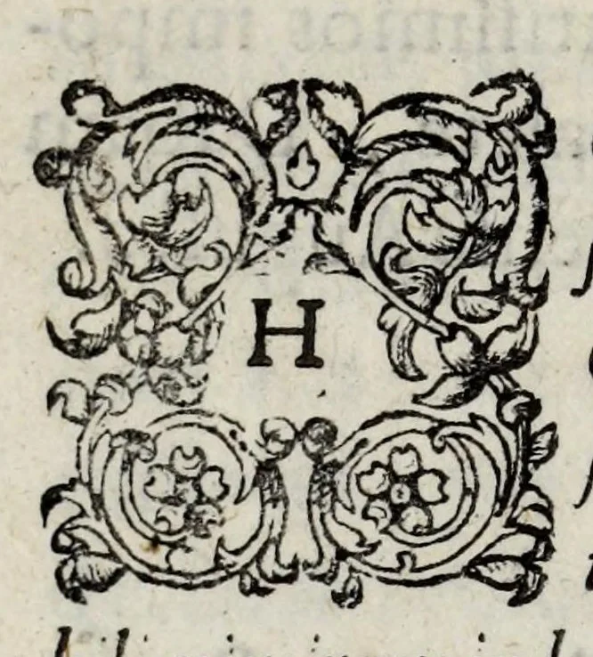 An illustration from Atalanta fugiens, hoc est, Emblemata nova de secretis naturae chymica : accomodata partim oculis & intellectui, figuris cupro incisis, adjectisque sententiis, epigrammatis & notis, partim auribus & recreationi animi plus minus 50 fugis musicalibus trium vocum, quarum duae ad unam simplicem melodiam distichis canendis peraptam, correspondeant, non abs[que] singulari jucunditate videnda, legenda, meditanda, intelligenda, dijudicanda, canenda & audienda, 1618, leaf 14