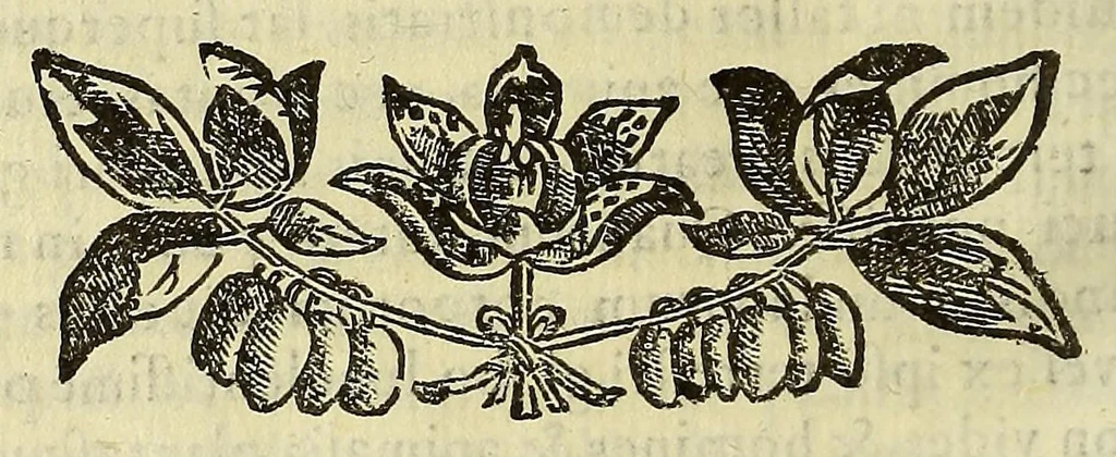 An illustration from Athanasii Kircheri e Soc. Iesu Itinerarium exstaticum : quo mundi opificium id est cœlestis expansi, siderumque tam errantium, quàm fixorum natura, vires, proprietates, singulorumque compositio & structura, ab infimo telluris globo, vsque ad vltima mundi confinia, per ficti raptus integumentum explorata, noua hypothesi exponitur ad veritatem interlocutoribus Cosmiele et Theodidacto ad ., 1656, leaf 100