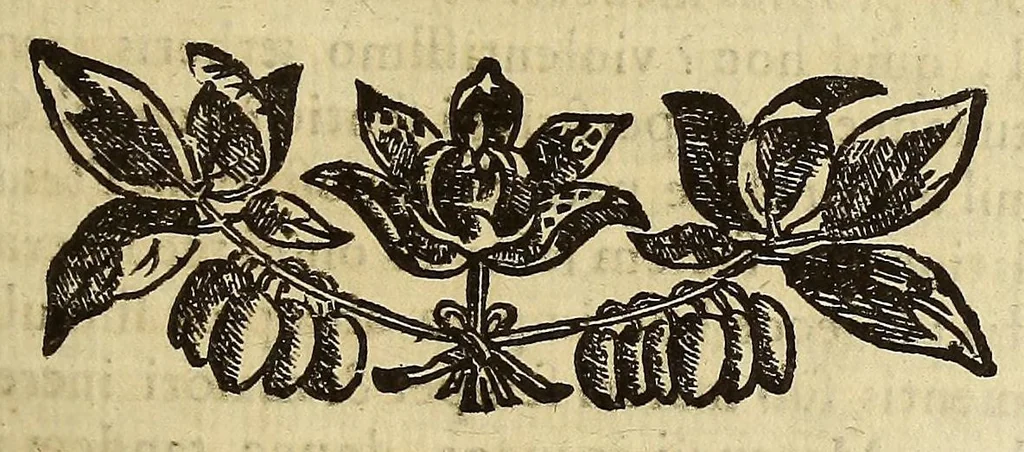 An illustration from Athanasii Kircheri e Soc. Iesu Itinerarium exstaticum : quo mundi opificium id est cœlestis expansi, siderumque tam errantium, quàm fixorum natura, vires, proprietates, singulorumque compositio & structura, ab infimo telluris globo, vsque ad vltima mundi confinia, per ficti raptus integumentum explorata, noua hypothesi exponitur ad veritatem interlocutoribus Cosmiele et Theodidacto ad ., 1656, leaf 115