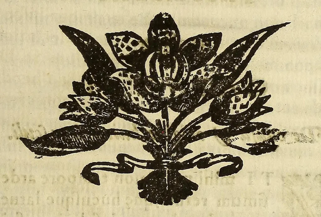 An illustration from Athanasii Kircheri e Soc. Iesu Itinerarium exstaticum : quo mundi opificium id est cœlestis expansi, siderumque tam errantium, quàm fixorum natura, vires, proprietates, singulorumque compositio & structura, ab infimo telluris globo, vsque ad vltima mundi confinia, per ficti raptus integumentum explorata, noua hypothesi exponitur ad veritatem interlocutoribus Cosmiele et Theodidacto ad ., 1656, leaf 41