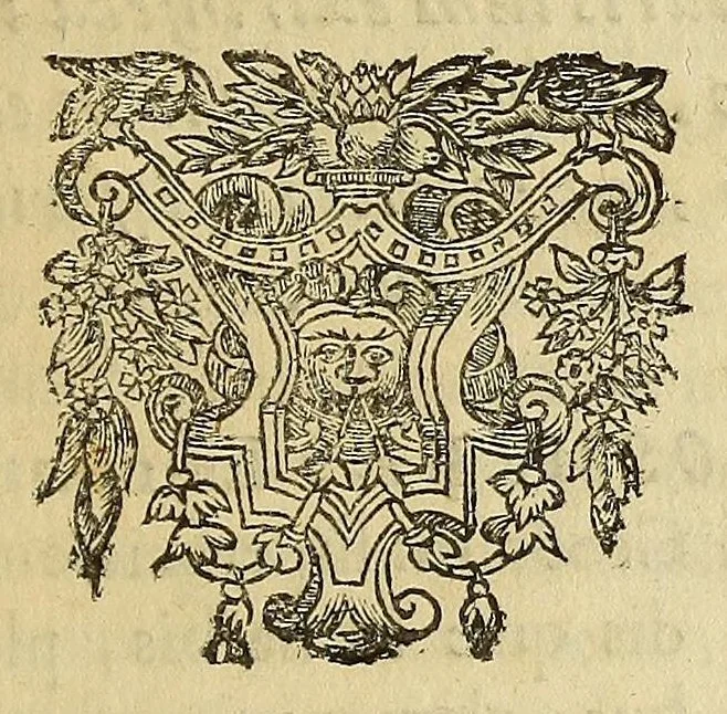 An illustration from Athanasii Kircheri e Soc. Iesu Itinerarium exstaticum : quo mundi opificium id est cœlestis expansi, siderumque tam errantium, quàm fixorum natura, vires, proprietates, singulorumque compositio & structura, ab infimo telluris globo, vsque ad vltima mundi confinia, per ficti raptus integumentum explorata, noua hypothesi exponitur ad veritatem interlocutoribus Cosmiele et Theodidacto ad ., 1656, leaf 649