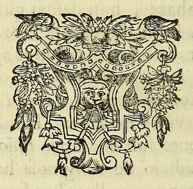 An illustration from Athanasii Kircheri e Soc. Iesu Itinerarium exstaticum : quo mundi opificium id est cœlestis expansi, siderumque tam errantium, quàm fixorum natura, vires, proprietates, singulorumque compositio & structura, ab infimo telluris globo, vsque ad vltima mundi confinia, per ficti raptus integumentum explorata, noua hypothesi exponitur ad veritatem interlocutoribus Cosmiele et Theodidacto ad ., 1656, leaf 730
