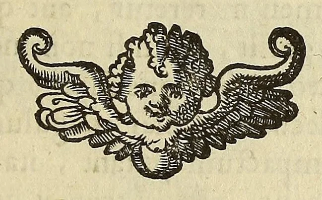 An illustration from Athanasii Kircheri e Soc. Iesu Itinerarium exstaticum : quo mundi opificium id est cœlestis expansi, siderumque tam errantium, quàm fixorum natura, vires, proprietates, singulorumque compositio & structura, ab infimo telluris globo, vsque ad vltima mundi confinia, per ficti raptus integumentum explorata, noua hypothesi exponitur ad veritatem interlocutoribus Cosmiele et Theodidacto ad ., 1656, leaf 751