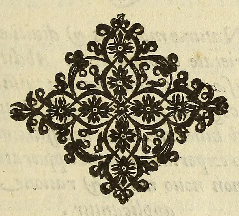 An illustration from Athanasii Kircheri e Soc. Iesu Itinerarium exstaticum : quo mundi opificium id est cœlestis expansi, siderumque tam errantium, quàm fixorum natura, vires, proprietates, singulorumque compositio & structura, ab infimo telluris globo, vsque ad vltima mundi confinia, per ficti raptus integumentum explorata, noua hypothesi exponitur ad veritatem interlocutoribus Cosmiele et Theodidacto ad ., 1656, leaf 753