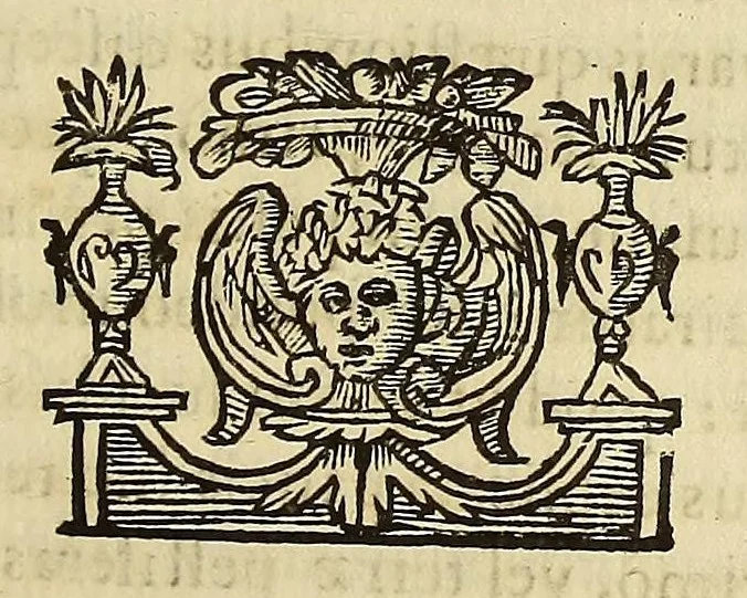 An illustration from Athanasii Kircheri e Soc. Iesu Scrutinium physico-medicum contagiosæ luis, quæ pestis dicitur. : Quo origo, causæ, signa, prognostica pestis, nec non insolentes malignantis naturæ effectus, qui statis temporibus, cælestium influxuum virtute & efficacia, tum in elementis, tum in epidemijs hominum animantiumque morbis elucescunt, vnà cum appropriatis remediorum antidotis noua doctrinâ in lucem eruuntur. Ad. ., 1658, leaf 159
