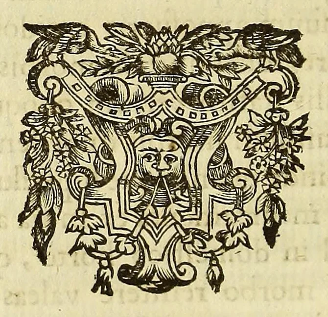 An illustration from Athanasii Kircheri e Soc. Iesu Scrutinium physico-medicum contagiosæ luis, quæ pestis dicitur. : Quo origo, causæ, signa, prognostica pestis, nec non insolentes malignantis naturæ effectus, qui statis temporibus, cælestium influxuum virtute & efficacia, tum in elementis, tum in epidemijs hominum animantiumque morbis elucescunt, vnà cum appropriatis remediorum antidotis noua doctrinâ in lucem eruuntur. Ad. ., 1658, leaf 188