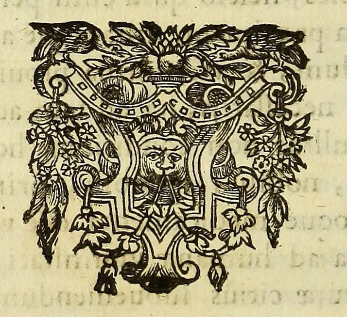 An illustration from Athanasii Kircheri e Soc. Iesu Scrutinium physico-medicum contagiosæ luis, quæ pestis dicitur. : Quo origo, causæ, signa, prognostica pestis, nec non insolentes malignantis naturæ effectus, qui statis temporibus, cælestium influxuum virtute & efficacia, tum in elementis, tum in epidemijs hominum animantiumque morbis elucescunt, vnà cum appropriatis remediorum antidotis noua doctrinâ in lucem eruuntur. Ad. ., 1658, leaf 242