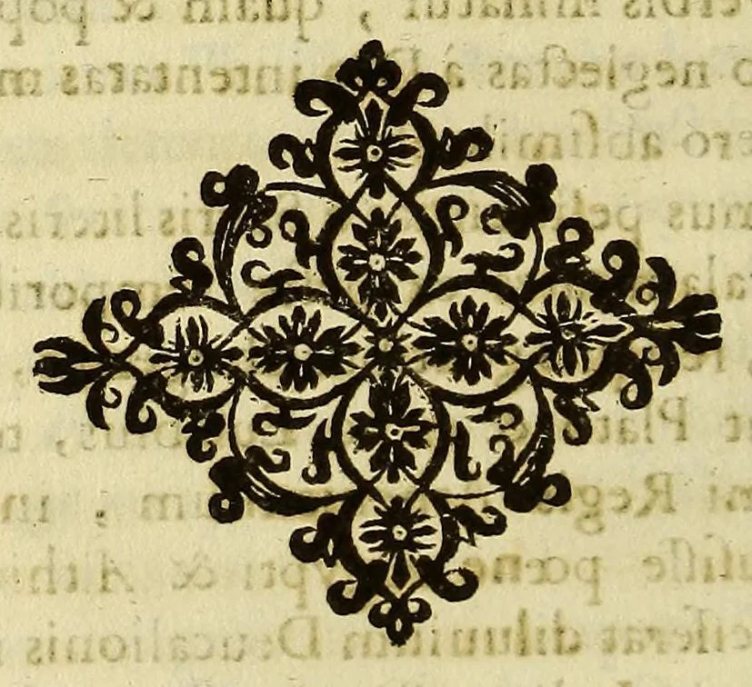 An illustration from Athanasii Kircheri e Soc. Iesu Scrutinium physico-medicum contagiosæ luis, quæ pestis dicitur. : Quo origo, causæ, signa, prognostica pestis, nec non insolentes malignantis naturæ effectus, qui statis temporibus, cælestium influxuum virtute & efficacia, tum in elementis, tum in epidemijs hominum animantiumque morbis elucescunt, vnà cum appropriatis remediorum antidotis noua doctrinâ in lucem eruuntur. Ad. ., 1658, leaf 250