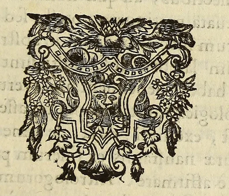 An illustration from Athanasii Kircheri e Soc. Iesu Scrutinium physico-medicum contagiosæ luis, quæ pestis dicitur. : Quo origo, causæ, signa, prognostica pestis, nec non insolentes malignantis naturæ effectus, qui statis temporibus, cælestium influxuum virtute & efficacia, tum in elementis, tum in epidemijs hominum animantiumque morbis elucescunt, vnà cum appropriatis remediorum antidotis noua doctrinâ in lucem eruuntur. Ad. ., 1658, leaf 93