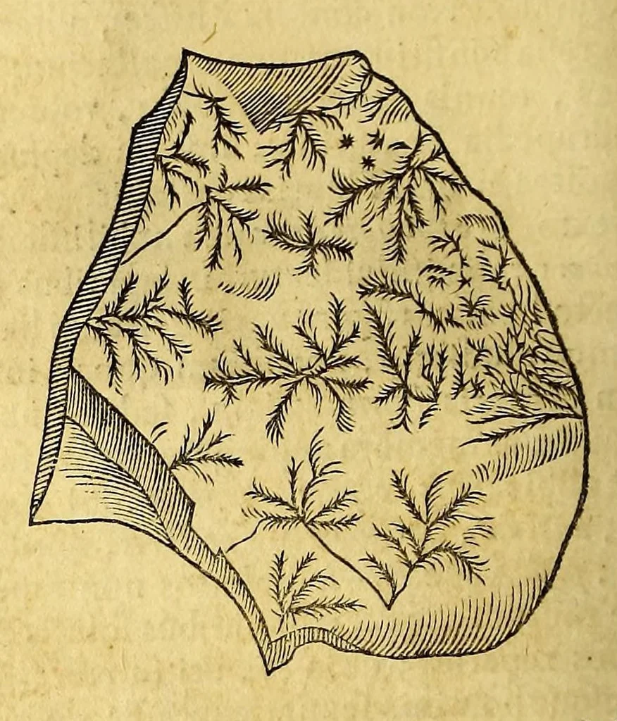 An illustration from Athanasii Kircheri e Soc. Jesu Mundus subterraneus, : in XII libros digestus; quo divinum subterrestris mundi opificium, mira ergasteriorum naturae in eo distributio, verbo [Pantamorphon] protei regnum, uniuersae denique naturae majestas & divitiae summa rerum varietate exponuntur, abditorum effectuum causae acri indagine inquisitae demonstrantur, cognitae per artis & naturae conjugium ad humanae vitae necessarium usum vario experimentorum apparatu, necnon novo modo & ratione applicantur, 1678, leaf 484