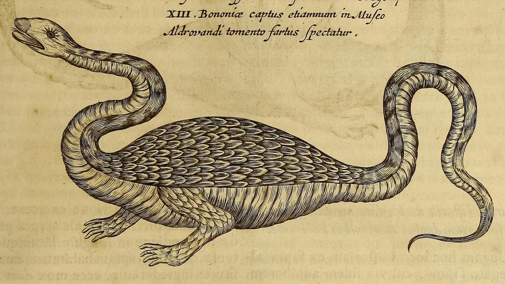 An illustration from Athanasii Kircheri e Soc. Jesu Mundus subterraneus, : in XII libros digestus; quo divinum subterrestris mundi opificium, mira ergasteriorum naturae in eo distributio, verbo [Pantamorphon] protei regnum, uniuersae denique naturae majestas & divitiae summa rerum varietate exponuntur, abditorum effectuum causae acri indagine inquisitae demonstrantur, cognitae per artis & naturae conjugium ad humanae vitae necessarium usum vario experimentorum apparatu, necnon novo modo & ratione applicantur, 1678, leaf 551