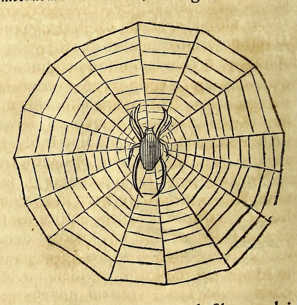 An illustration from Athanasii Kircheri e Soc. Jesu Mundus subterraneus, : in XII libros digestus; quo divinum subterrestris mundi opificium, mira ergasteriorum naturae in eo distributio, verbo [Pantamorphon] protei regnum, uniuersae denique naturae majestas & divitiae summa rerum varietate exponuntur, abditorum effectuum causae acri indagine inquisitae demonstrantur, cognitae per artis & naturae conjugium ad humanae vitae necessarium usum vario experimentorum apparatu, necnon novo modo & ratione applicantur, 1678, leaf 848