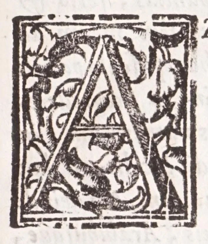 An illustration from Athanasij Kircheri e Societate Iesu Arithmologia, siue, De abditis numerorum mysterijs : qua origo, antiquitas & fabrica numerorum exponitur : abditae eorundem proprietates demonstrantur : fontes superstitionum in amuletorum fabrica aperiuntur : denique post cabalistarum, Arabum, gnosticorum, aliorumque magicas impietates detectas, vera & licita numerorum mystica significatio ostenditur, 1665, leaf 13
