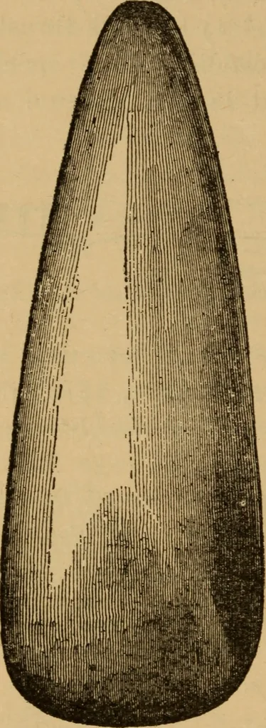 An illustration from Athletics and manly sport, 1890, leaf 203