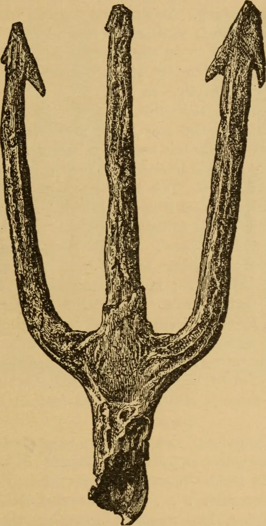 An illustration from Athletics and manly sport, 1890, leaf 224