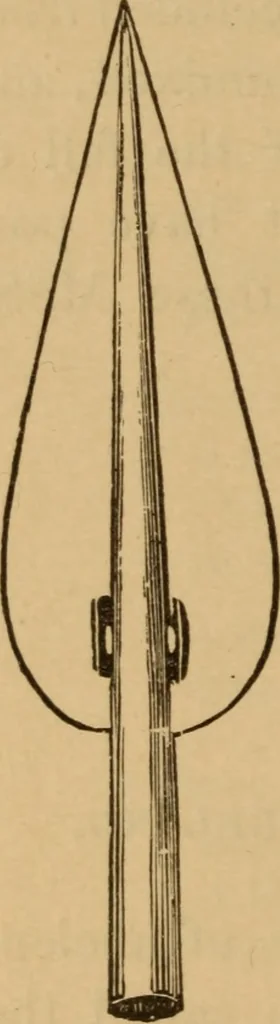 An illustration from Athletics and manly sport, 1890, leaf 241