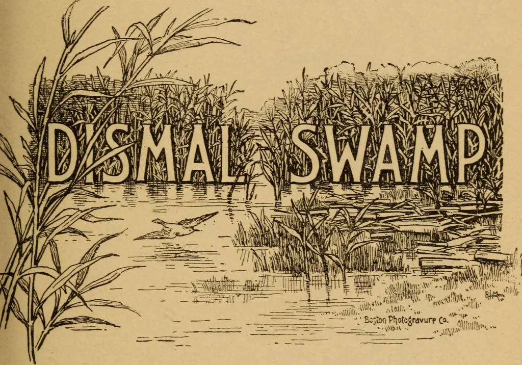 An illustration from Athletics and manly sport, 1890, leaf 384