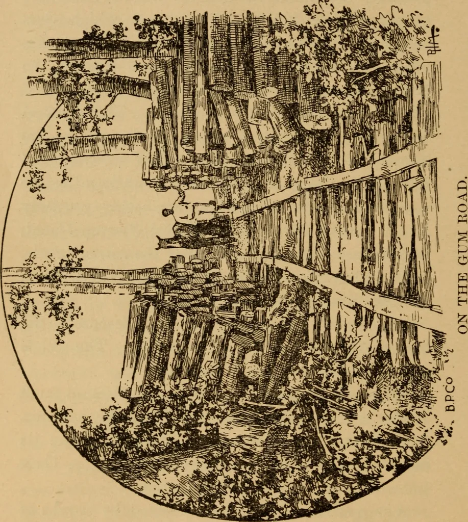 An illustration from Athletics and manly sport, 1890, leaf 407