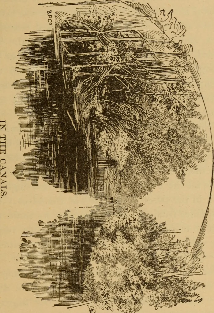 An illustration from Athletics and manly sport, 1890, leaf 412