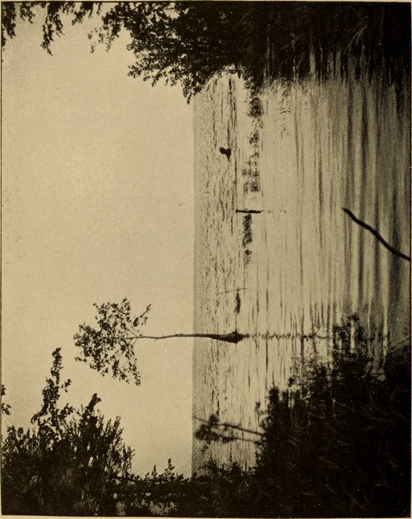 An illustration from Athletics and manly sport, 1890, leaf 435