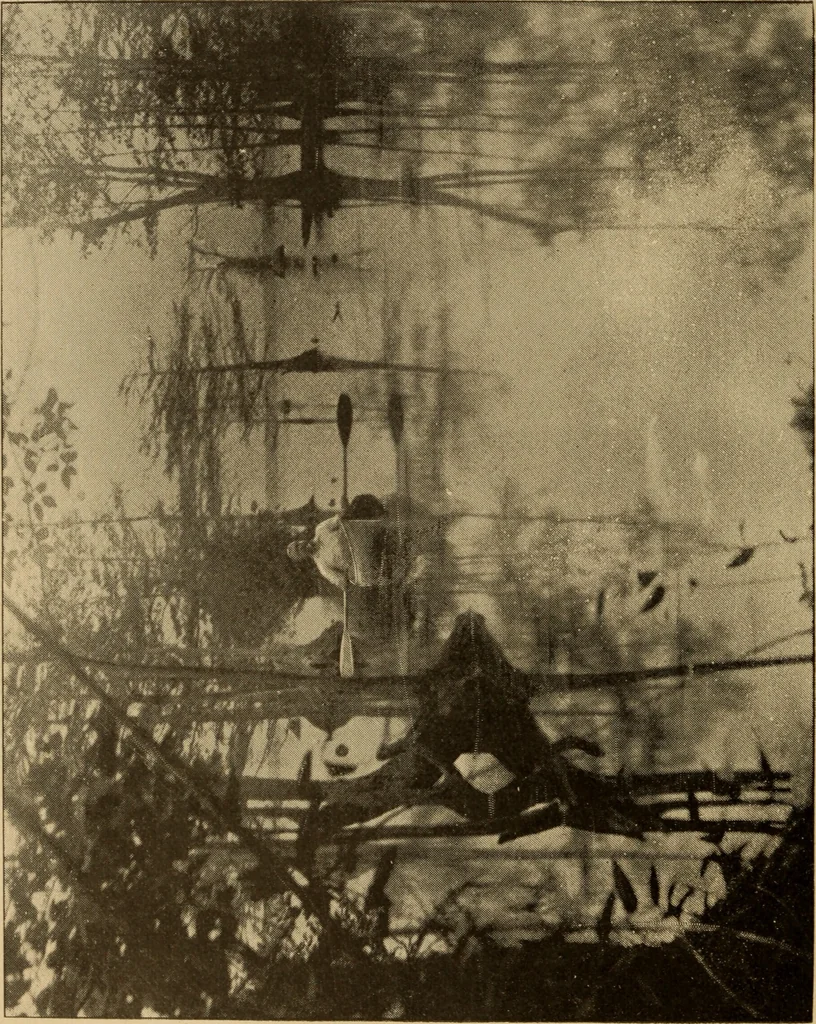 An illustration from Athletics and manly sport, 1890, leaf 449