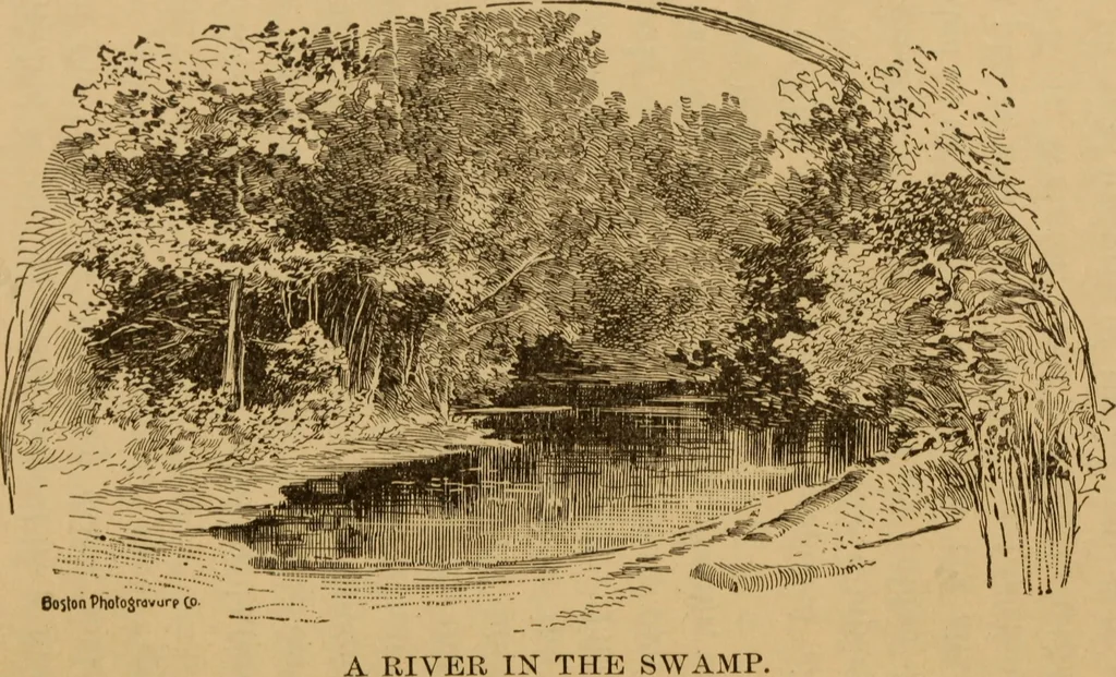 An illustration from Athletics and manly sport, 1890, leaf 460