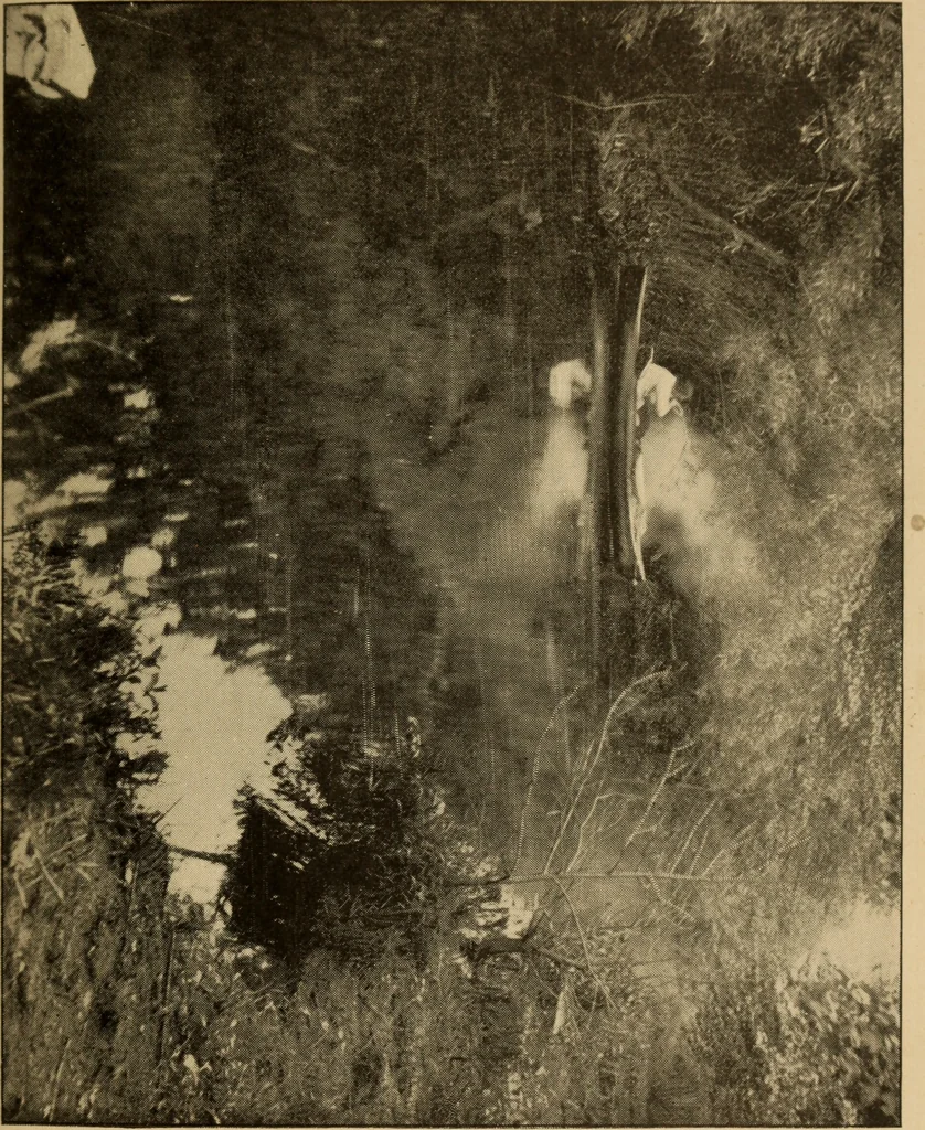 An illustration from Athletics and manly sport, 1890, leaf 496