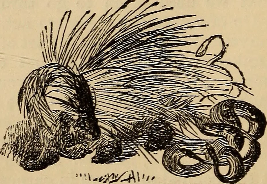 An illustration from Athletic sports and recreations for boys.., 1861, leaf 115